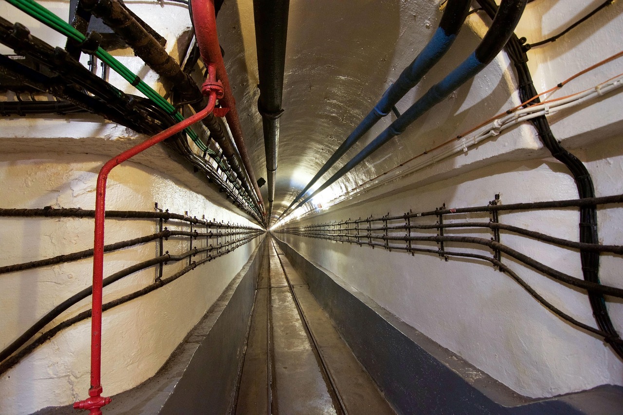 福建军区姚火照展现新时代军队建设的坚实步伐最新动态