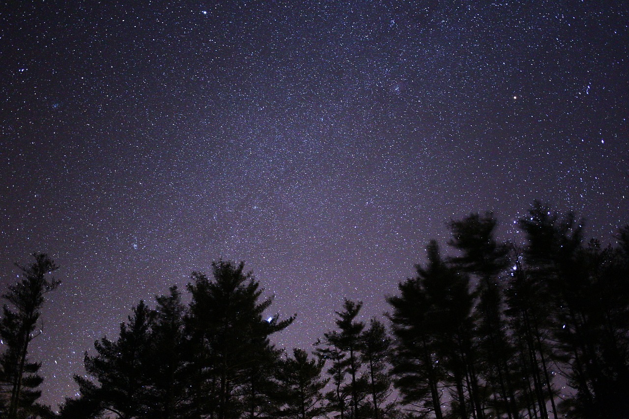 缅怀逝去的星辰，明星过世名单回顾
