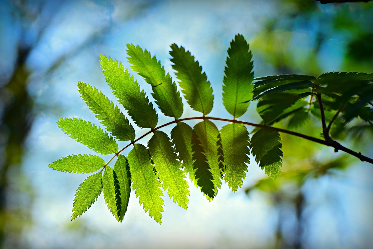 於潜最新招聘动态，共创未来，把握机遇时刻！